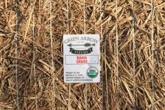Green Arrow Fields - Bahia Grass Label