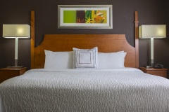 Residence Inn by Marriott - King Suite