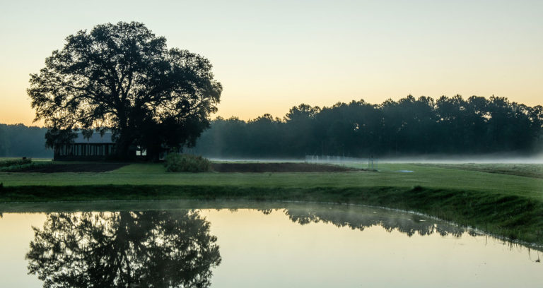 Green Arrow Farm, mist on field