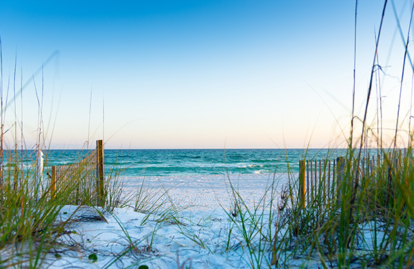 Beach on the Gulf of Mexico