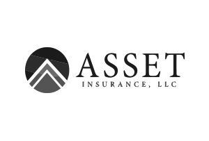 Asset Insurance, LLC Logo